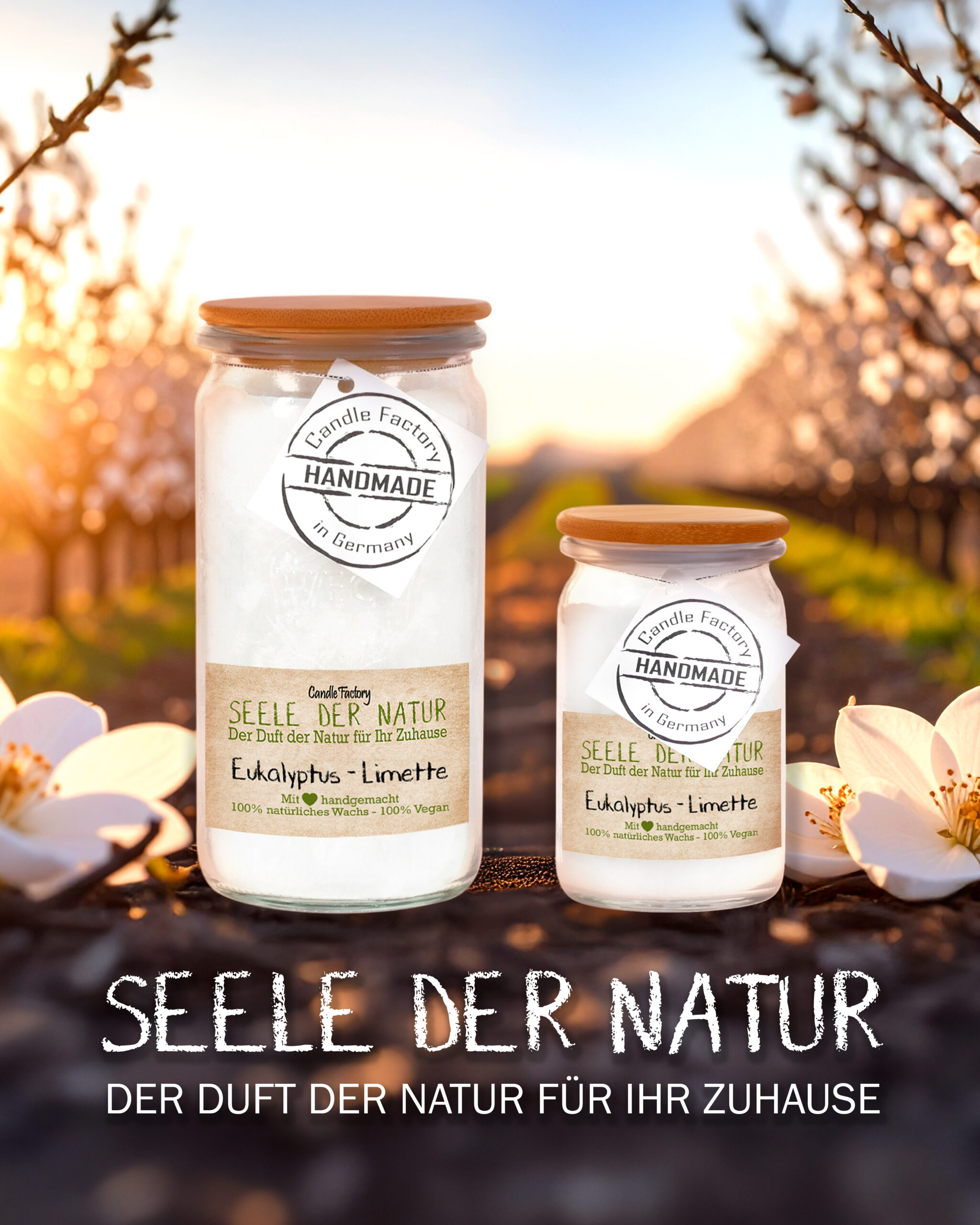 box-seele-der-natur