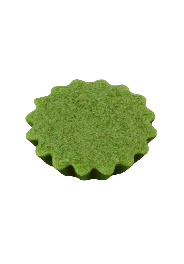 Matcha Moment | 202-184